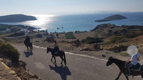 Passeios a cavalo, VOULAS GARDEN 4FAMILY APT in Lipsi
