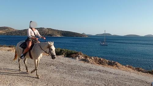 Passeios a cavalo, VOULAS GARDEN 4FAMILY APT in Lipsi