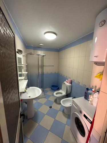 One-Bedroom Apartment image 6