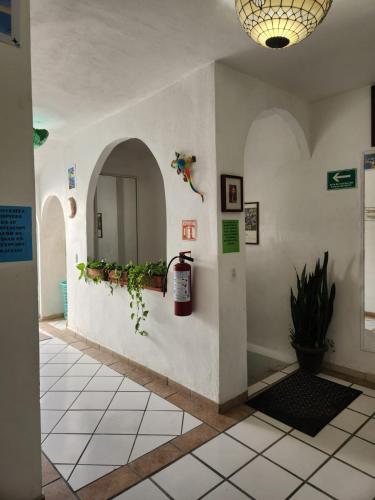 Alexandross in Puerto Vallarta