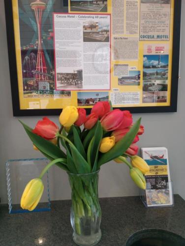 Cocusa Motel - Accommodation - Burlington