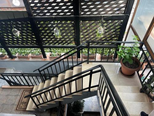 Hotel 51, Tirana (photo 2)