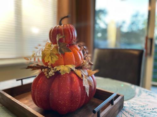 Gatlinburg Summit Getaway for 2 With Amazing View! in Gatlinburg, USA