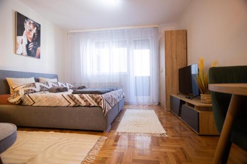Studio Iris 2, Niš (foto 5)