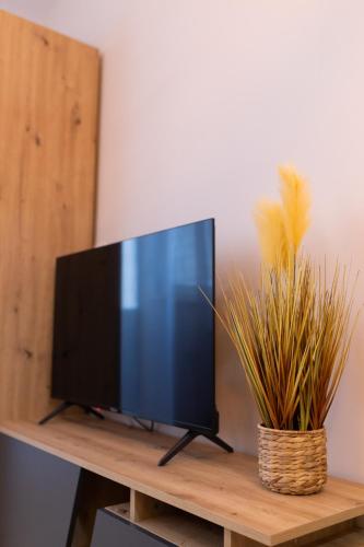 Studio Iris 2, Niš (foto 10)
