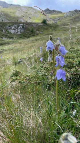 Maso Corto Alpine Adventure