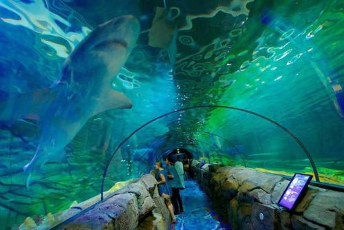 A Comfy Studio for 6 Next to Darling Harbour - image 7