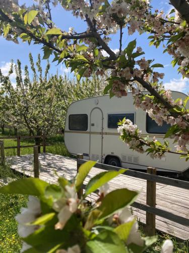 Home Shanti, sole tra i ciliegi gîte à louer Ponte Samoggia