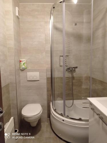 Apartman Radosavljević - Location saisonnière - Ocka Gora