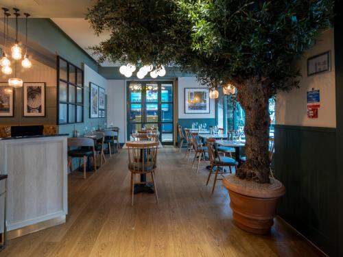 Hotel Indigo London Hyde Park Paddington an IHG Hotel - image 4