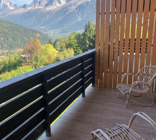 Aiguilles furnished flat Les Houches