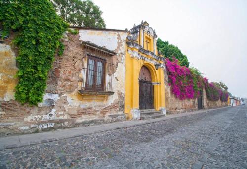 Casa Wichita Antigua Guatemala, Antigua Guatemala (foto 7)