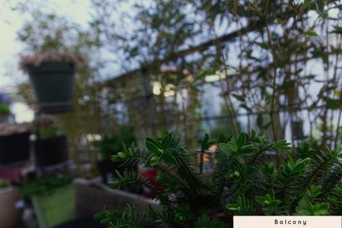 Garden, Cosy CoLiving space near Paris in Asnieres-sur-Seine