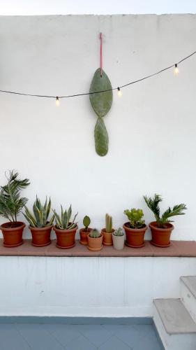 Casa Mbacicc Appartmento sui tetti di Trani