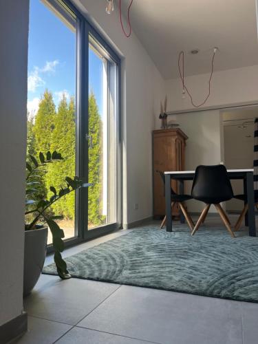 Modernes Tiny Appartement in Lage