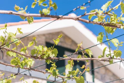 GuestReady - Paracoba House, Moledo (photo 7)