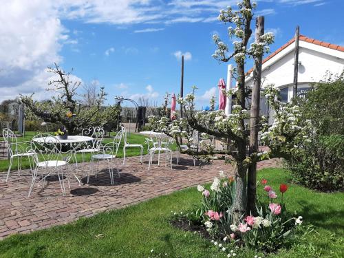 Kert, Luxe chalet op minicamping in waarde in Kruiningen