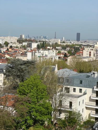 Joli appartement avec vue sur la Tour Eiffel - Location saisonnière - Villejuif