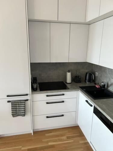Prague Smíchov Anděl Apartment, Praha (fotografie 11)