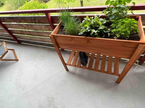 Ferienwohnung Saumpfad 25 Min ins Legoland in ฮอร์เกา