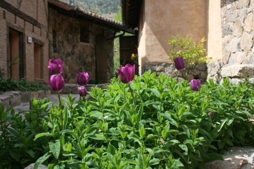 Hotel Rural Abejaruco