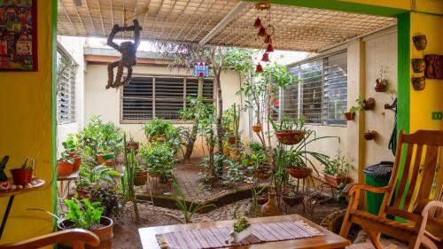 花园, Hostal La Buena Onda in 马塔加尔帕