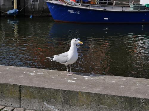 Ostsee-Landhausblick zw Rostock und Wismar