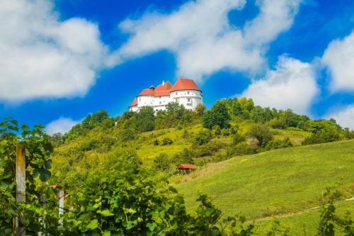 House in Nature - Happy Rentals