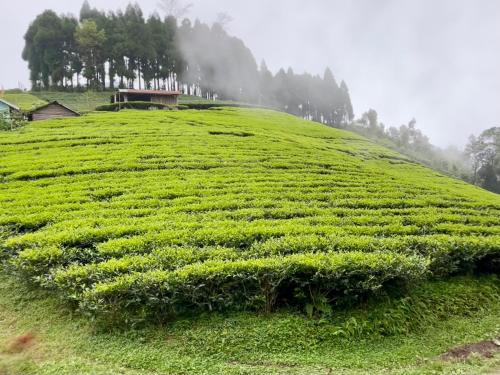 편의 시설/서비스, The Ridge Homestay in 일람