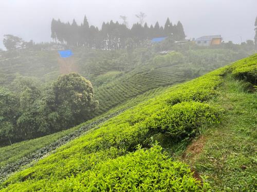 주변 환경, The Ridge Homestay in 일람