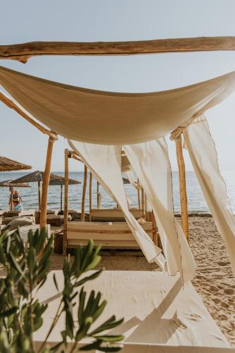 沙灘, Ergon Beach House Nikiti in 哈爾基季基半島