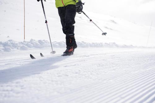 Smuksjøseter Fjellstue - image 12