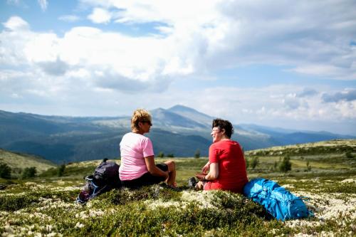 Smuksjøseter Fjellstue - image 5