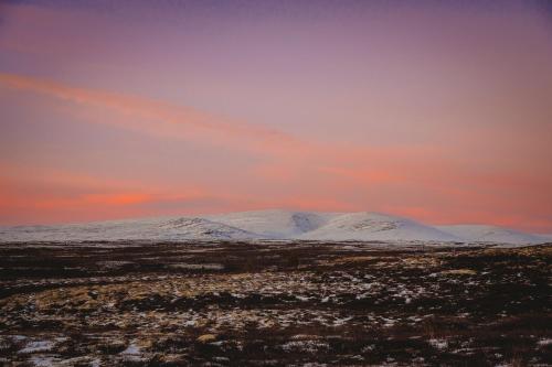 Smuksjøseter Fjellstue - image 2