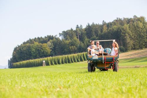 Ümbrus, Ferienhof Egger in Tettnang
