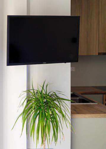 Cutie Studio Apartment in Koukaki 3