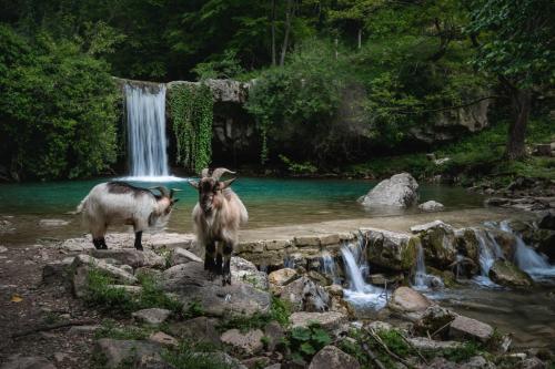 Pool Villa Maro In Nature