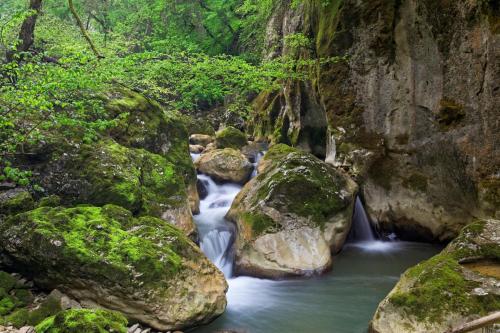 Pool Villa Maro In Nature