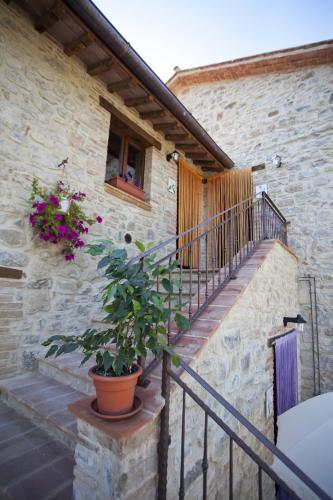 Casa Vacanze Il Piccolo Noce - Accommodation - Pietrafitta