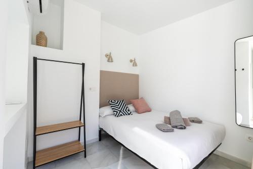 Dúplex con terraza junto a la catedral Room Type - Apartment with Terrace