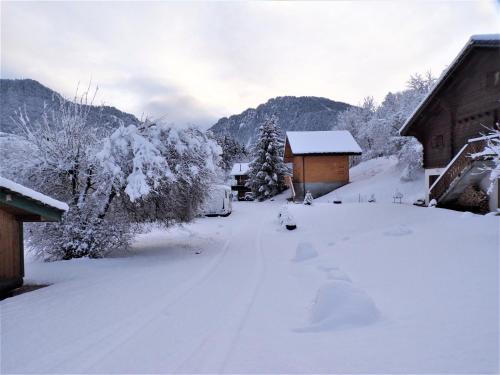 Chalet esprit Savoyard