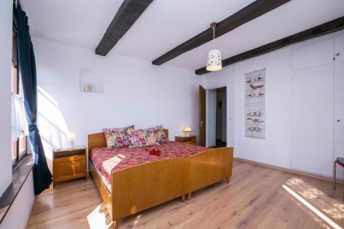 Chalet Cademario - main image