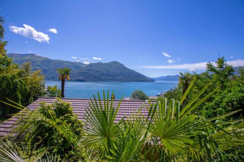 Brissago Lake View