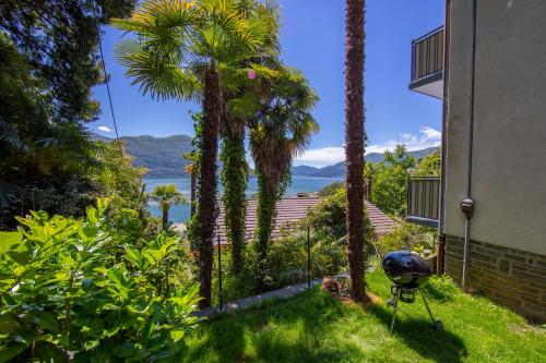 Brissago Lake View