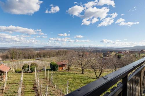Vineyard house Bahor - image 8