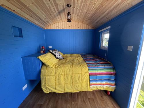 Shepherds Hut - Brecon Beacons in Gvinfī
