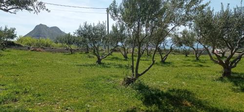 Kuća za odmor Arka Kuća za odmor Arka