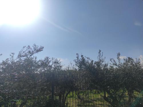 Kuća za odmor Arka Kuća za odmor Arka