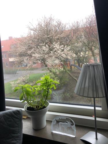 Nära till allt i Ystad (Nara till allt i Ystad) in 이스테드