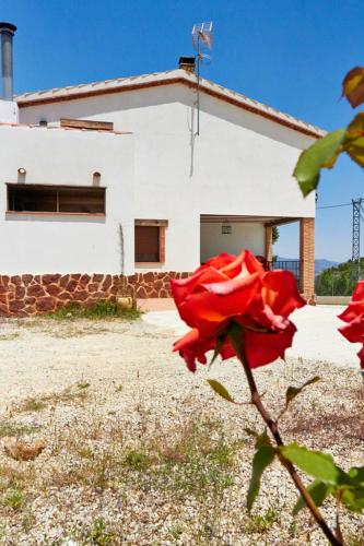 CASA RURAL EL PINICO